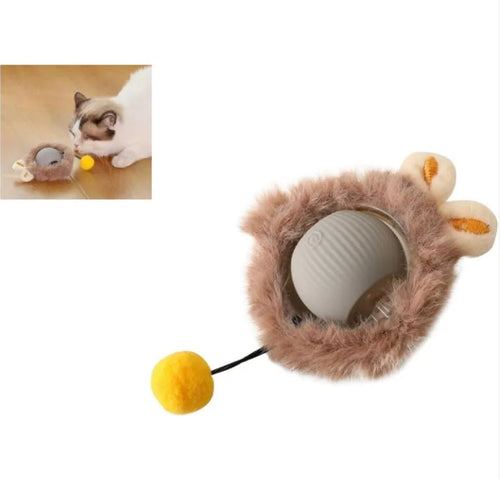 PawVeil Smart Rolling Ball™ — Self-Moving Interactive Toy for Cats & Dogs